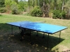 Ping Pong....